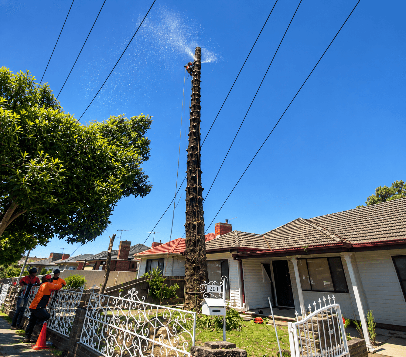 Arbco Tree Services Professional Standards
